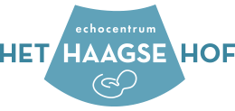 logo_haagse_hof.png